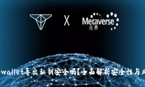  tpwallet导出私钥安全吗？全面解析安全性与风险