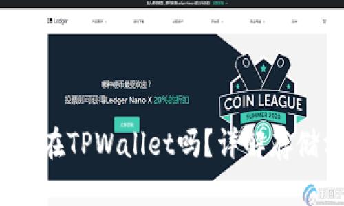 FIL币可以存放在TPWallet吗？详解存储方式与安全性