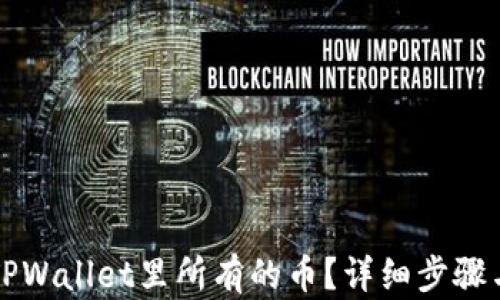 
如何查看TPWallet里所有的币？详细步骤与技巧解析