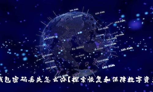比特币钱包密码丢失怎么办？探索恢复和保障数字资产的方法