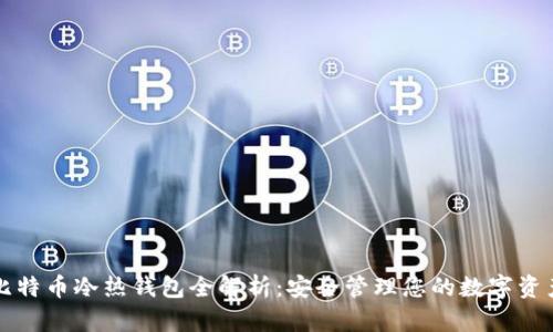 比特币冷热钱包全解析：安全管理您的数字资产