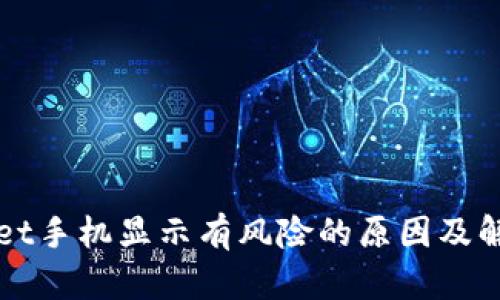 TPWallet手机显示有风险的原因及解决方案