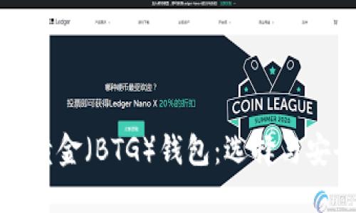 比特币与比特币黄金（BTG）钱包：选择与安全性的深入探讨