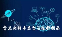 常见比特币类型及选择指南
