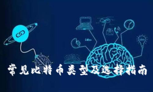 常见比特币类型及选择指南